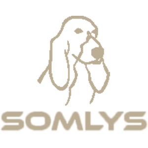 Somlys